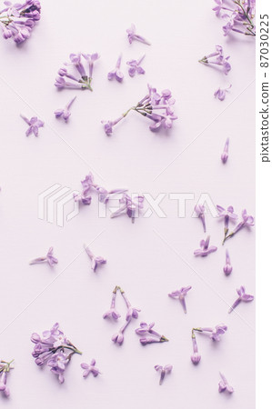 Spring flowers. Lilac flowers petals on white wooden background. Top view, flat lay 87030225