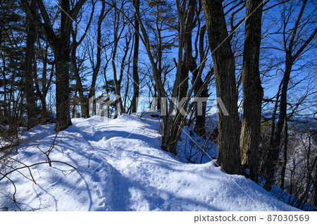 Snowy mountain forest belt, Takagawa mountain trail 87030569