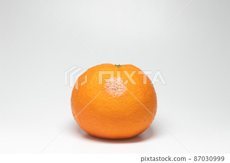 感染橘子的指青黴 感染橘子的指青黴 87030999