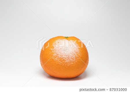 Penicillium digitatum infected with mandarin oranges Penicillium digitatum infected with mandarin oranges 87031000