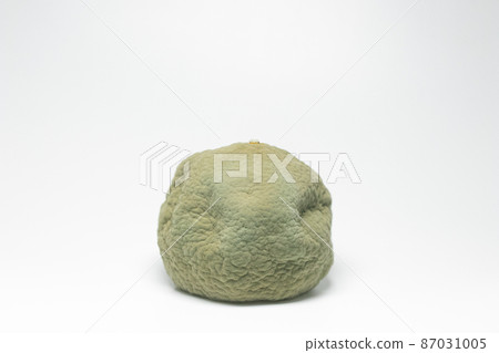 Penicillium digitatum infected with mandarin oranges 87031005