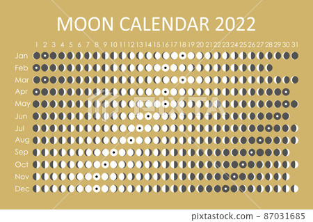 2022 Moon calendar. Astrological calendar design. planner. Place for stickers. Month cycle planner mockup. Isolated black and white background 87031685