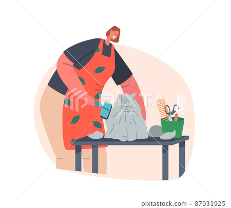 Friendly Hairdresser Female Character Provide Grooming Service, Comb Persian Cat with Long Hair in Salon for Animals Friendly Hairdresser Female Character Provide Grooming Service, Comb Persian Cat with Long Hair in Salon for Animals 87031925