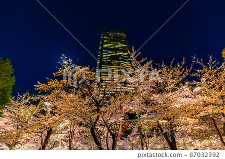 東京港區赤坂，盛開的櫻花和東京中城的夜景 87032392