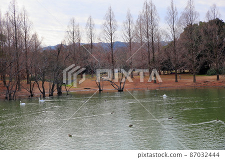 冬季公園 冬季公園 87032444