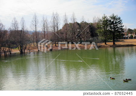 冬季公園 冬季公園 87032445