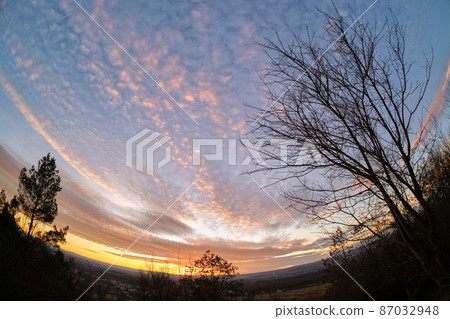 Dark foliage of small trees and bush against bright colorful sunset sky with vivid clouds illuminated with setting sun light Dark foliage of small trees and bush against bright colorful sunset sky with vivid clouds illuminated with setting sun light 87032948