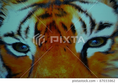 light design 87033862