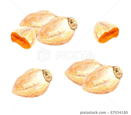 手繪水彩柿餅插畫組(可愛的秋季水果,日式風格材料) 手繪水彩柿餅插畫組(可愛的秋季水果,日式風格材料) 87034180