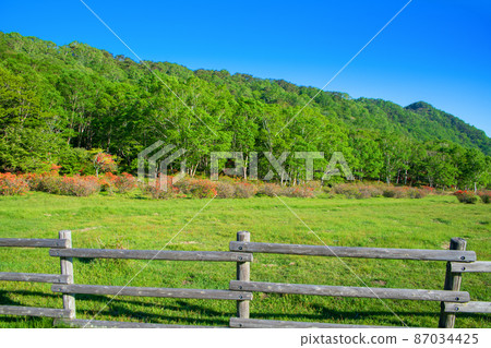 Akagiyama Shirakaba Ranch Early Summer Scenery 87034425