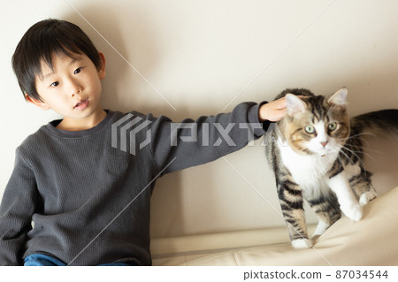 Cute minuet and boy relaxing in the room Cute minuet and boy relaxing in the room 87034544