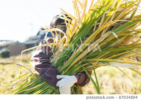 女狩獵真子 87034804