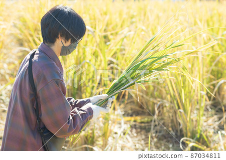 女狩獵真子 87034811