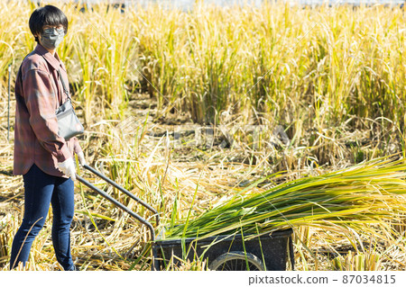 Female hunting makomo 87034815