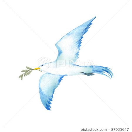 Blue bird carrying a tree branch 87035647