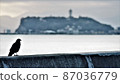 Crows and Enoshima seen from the Shichirigahama parking lot in Kamakura City, Kanagawa Prefecture 87036779
