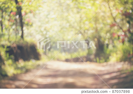 Blur background green park garden nature bright sunny forest. Blurry outdoor park in spring time glowing shinny day template with sunlight bokeh. Abstract blurred background banner copy space. Blur background green park garden nature bright sunny forest. Blurry outdoor park in spring time glowing shinny day template with sunlight bokeh. Abstract blurred background banner copy space. 87037898