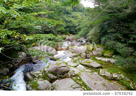 Shiratani Unsuikyo in Autumn 87038292
