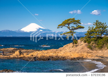 《Kanagawa Prefecture》 Mt. Fuji and the coastline / Tateishi Park 87039196