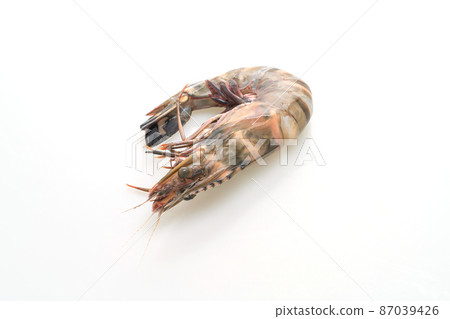 fresh tiger prawn or shrimp 87039426