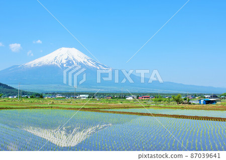 Early summer blue sky, fresh green rice field scenery and Mt. Fuji 87039641