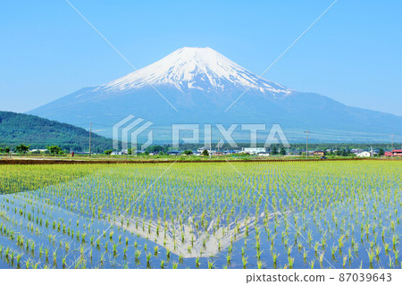 Early summer blue sky, fresh green rice field scenery and Mt. Fuji 87039643