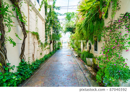 Colorful and beautiful old town with tree and plant in Songkhla, Thailand 87040392