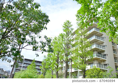 城市自然豐富的公寓 城市自然豐富的公寓 87040894