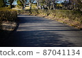 寒冷的黃昏路 87041134