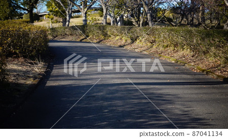 寒冷的黃昏路 寒冷的黃昏路 87041134