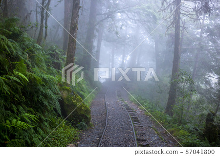 台灣，太平山，見晴古道，森林步道，台湾、太平山、江清古道、森の小道、forest trail, 87041800