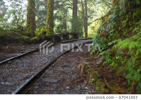 台灣，太平山，見晴古道，森林步道，台湾、太平山、江清古道、森の小道、forest trail, 87041803