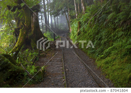 台灣,太平山,見晴古道,森林步道,台湾、太平山、江清古道、森の小道、forest trail, 台灣,太平山,見晴古道,森林步道,台湾、太平山、江清古道、森の小道、forest trail, 87041804