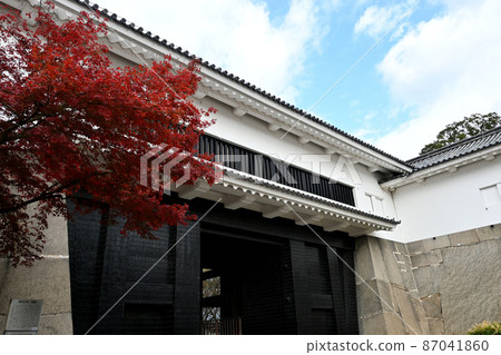 Autumn leaves of Osaka Castle Tamon turret Autumn leaves of Osaka Castle Tamon turret 87041860