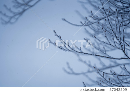Winter Zao Plateau "Rime" Yamagata City, Yamagata Prefecture Winter Zao Plateau "Rime" Yamagata City, Yamagata Prefecture 87042209