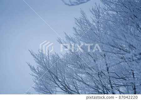 Winter Zao Plateau "Rime" Yamagata City, Yamagata Prefecture 87042220