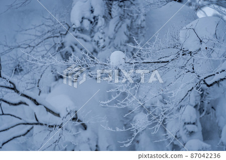 Winter Zao Plateau "Rime" Yamagata City, Yamagata Prefecture Winter Zao Plateau "Rime" Yamagata City, Yamagata Prefecture 87042236