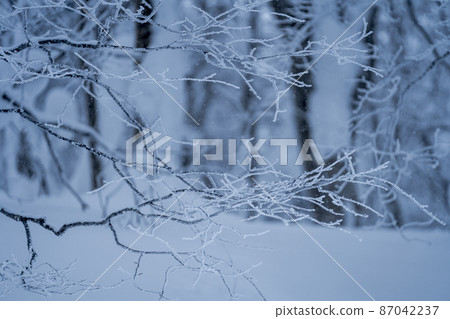 Winter Zao Plateau "Rime" Yamagata City, Yamagata Prefecture Winter Zao Plateau "Rime" Yamagata City, Yamagata Prefecture 87042237