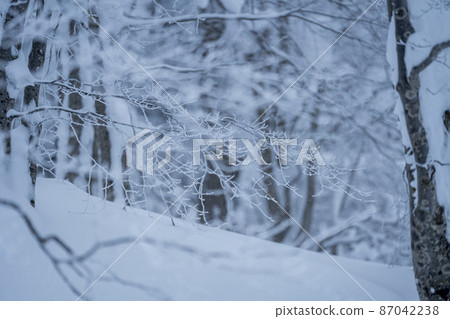Winter Zao Plateau "Rime" Yamagata City, Yamagata Prefecture Winter Zao Plateau "Rime" Yamagata City, Yamagata Prefecture 87042238