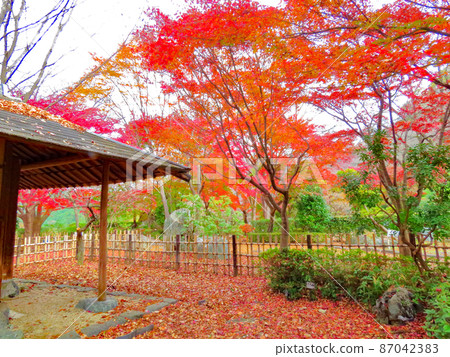 櫻山公園茶室花園 櫻山公園茶室花園 87042383