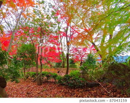 櫻山公園茶室花園 櫻山公園茶室花園 87043159