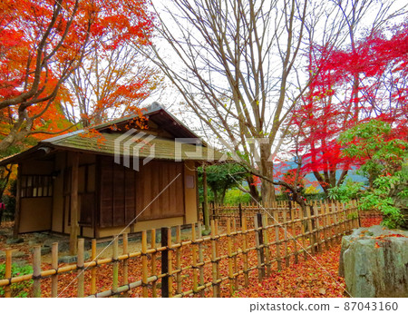 Sakurayama Park Tea Room Garden Sakurayama Park Tea Room Garden 87043160