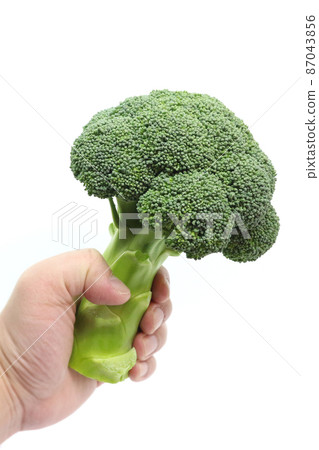 Broccoli in my hand 87043856