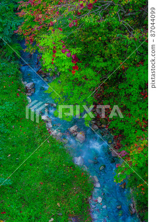Autumn image of autumn leaves at Ichido River in Zao Onsen (Yamagata City, Yamagata Prefecture) 87044099