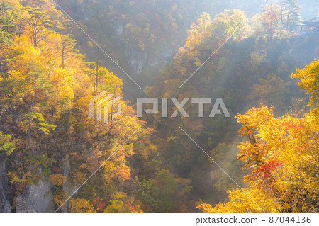 Autumn image of autumn leaves Narukokyo (Osaki City, Miyagi Prefecture) Autumn image of autumn leaves Narukokyo (Osaki City, Miyagi Prefecture) 87044136