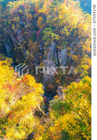 Autumn image of autumn leaves Narukokyo (Osaki City, Miyagi Prefecture) 87044146