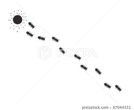 Procession of black ants coming out of the nest Procession of black ants coming out of the nest 87044331