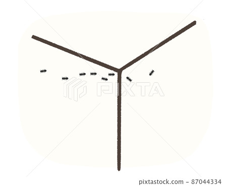 房子裡的螞蟻隊伍 87044334