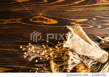 乾花背景素材圖片 87044392