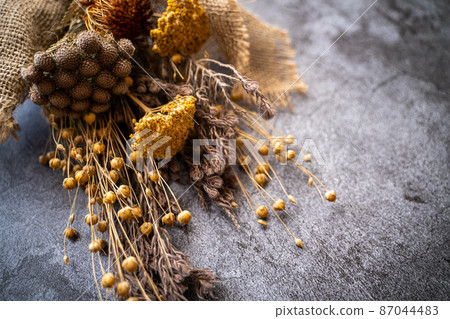 Dried flower background material image Dried flower background material image 87044483